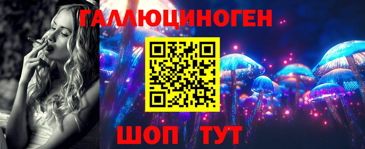 Галлюциногенные грибы Cubensis Будённовск