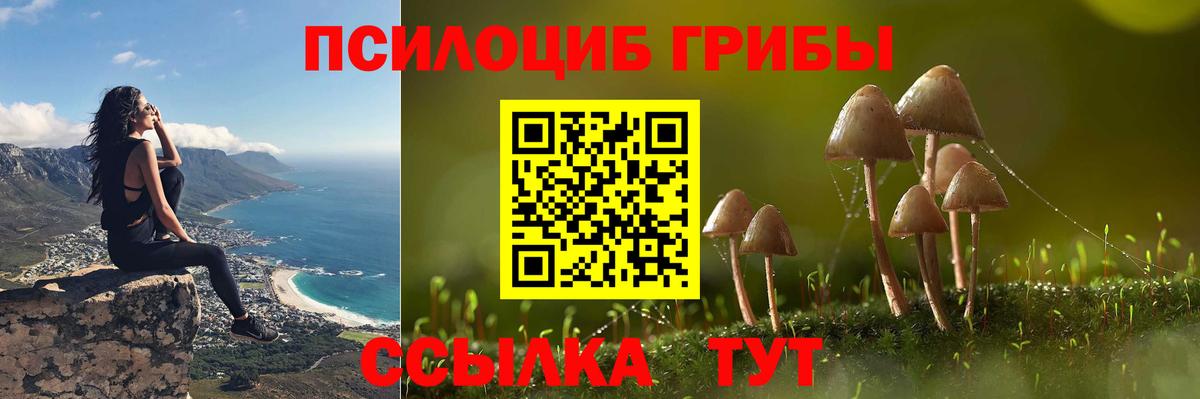 Псилоцибиновые грибы Cubensis  Вход с VPN  Будённовск 